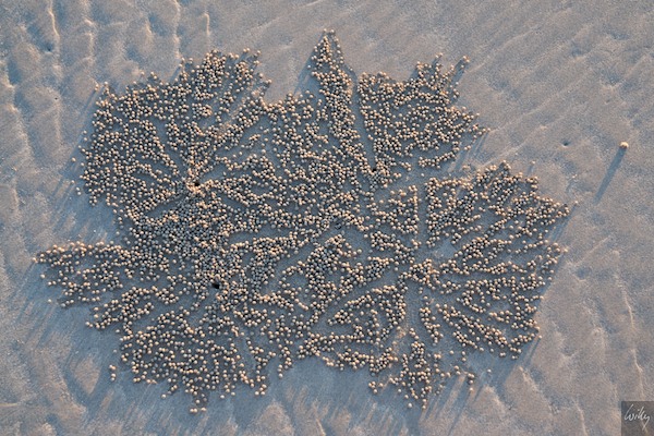 AustraliaPerth 10  152-1